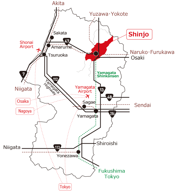Access to SHINJO2