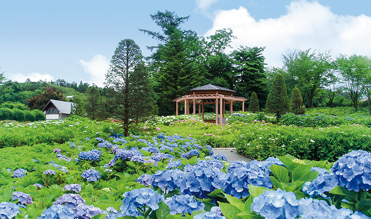 東山公園