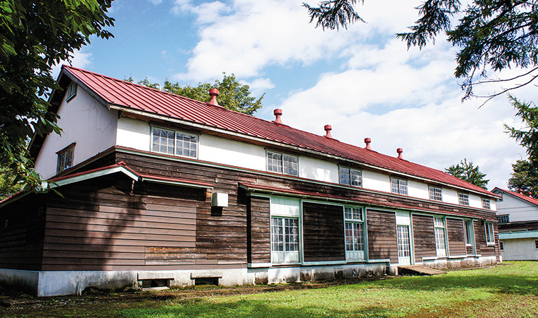 Ecology Garden